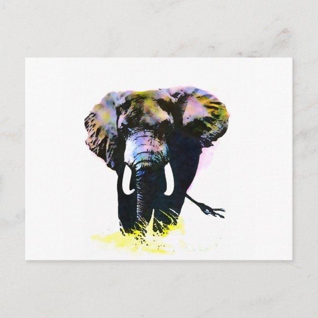 Elephant Postcard (Front)