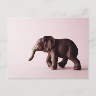 Elephant Postcard