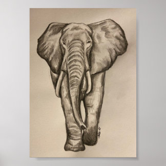 Elephant poster