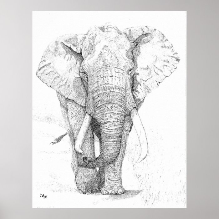 Elephant Print