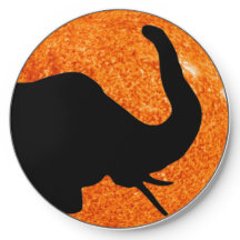 Elephant Profile Solar Eclipse Shadow