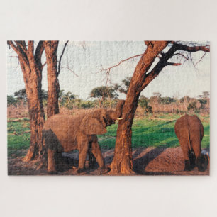 elephant push jigsaw puzzle