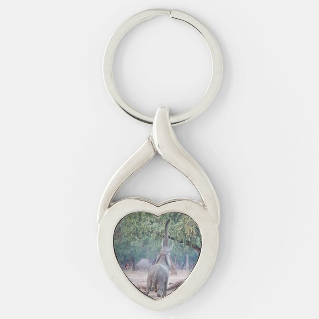 Elephant reaching for Acacia tree Keychain (Front)