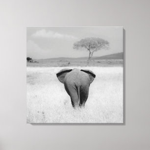 Elephant, rear view Wrapped Canvas Print