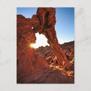 Elephant Rock in the Valley of Fire Postcard