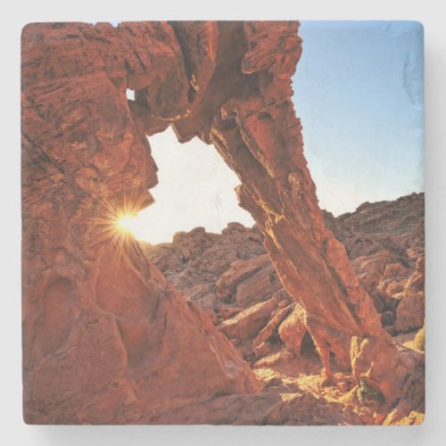 Elephant Rock in the Valley of Fire Stone Coaster