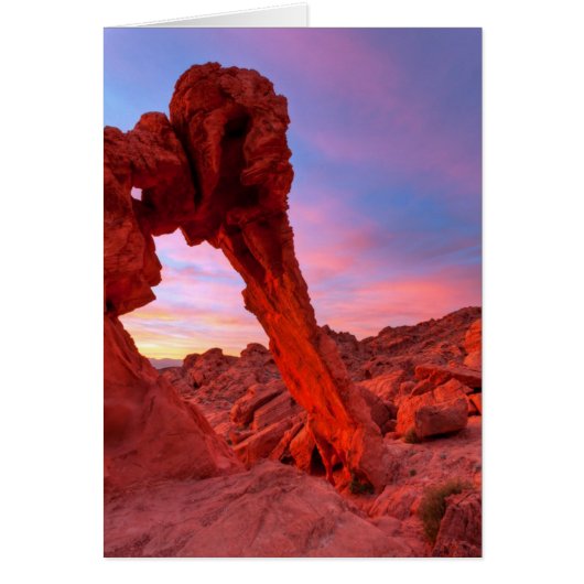 Elephant Rock Morning Glow Cards (Front)