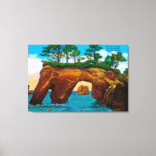 Elephant Rock on Washington Coast Canvas Print