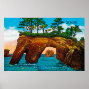 Elephant Rock on Washington Coast Poster