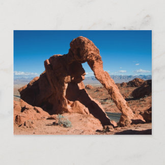 Elephant Rock Postcard