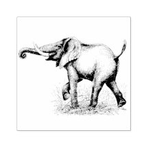 Elephant Safari Animals