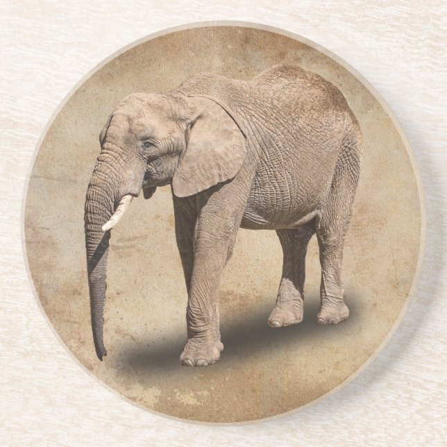 ELEPHANT SANDSTONE COASTER (Front)