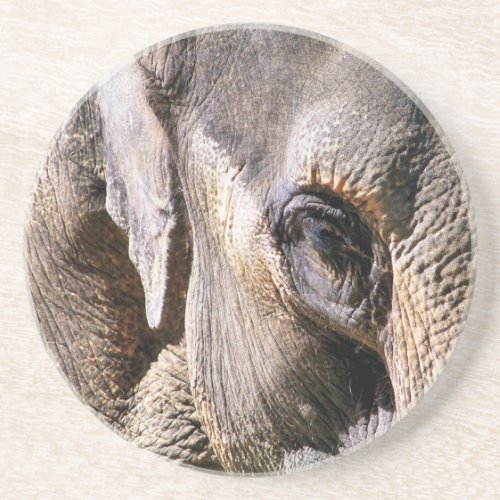 ELEPHANT SANDSTONE COASTER