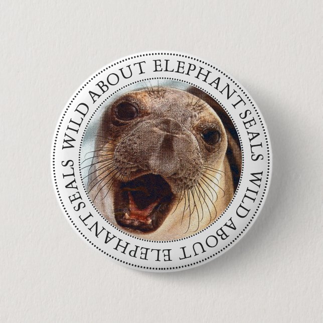 Elephant Seal Button (Front)