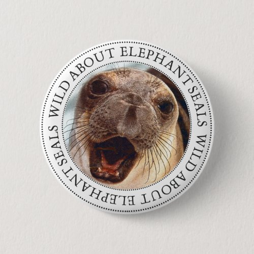 Elephant Seal Button