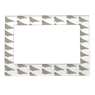 Elephant seal cartoon illustration magnetic frame