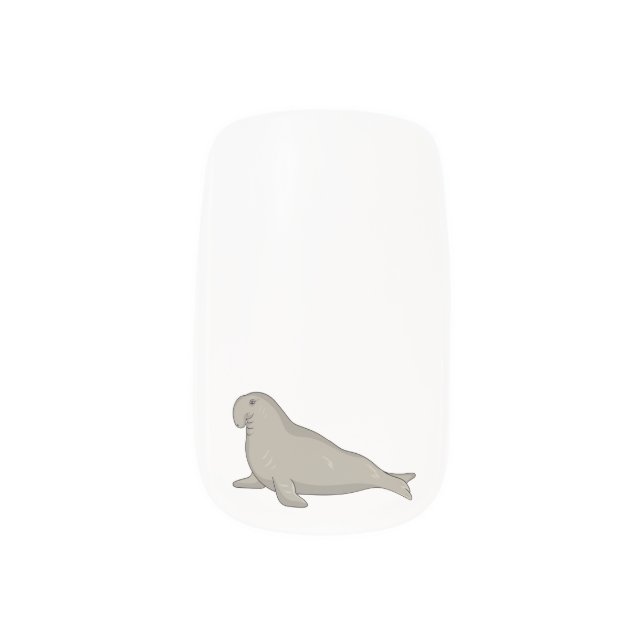 Elephant seal cartoon illustration minx nail art (Left Thumb)