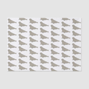 Elephant seal cartoon illustration tissue paper