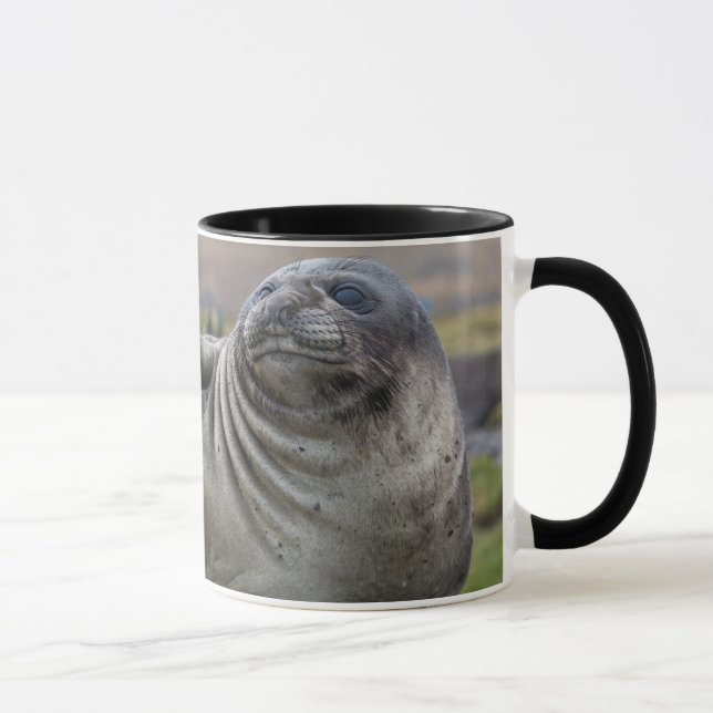 Elephant Seal High-Five Mug (Right)