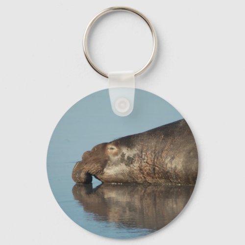 Elephant Seal Keychain