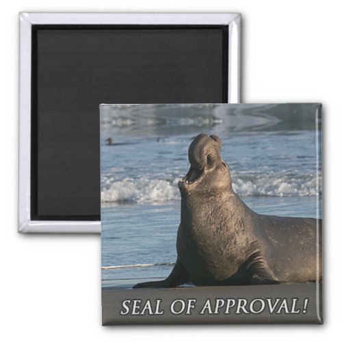 Elephant Seal Of Approval Magnet