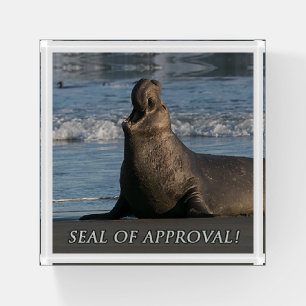 Elephant Seal Of Approval Paperweight