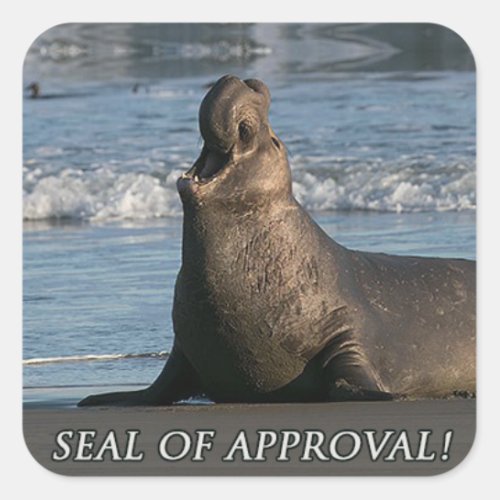 Elephant Seal Of Approval Sticker