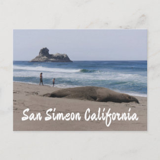 Elephant Seal on The Beach Postcard