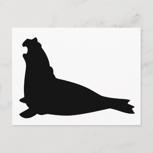 Elephant Seal Postcard Black