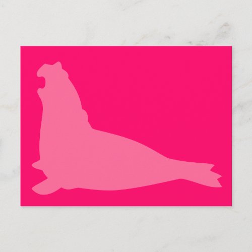 Elephant Seal Postcard Pink