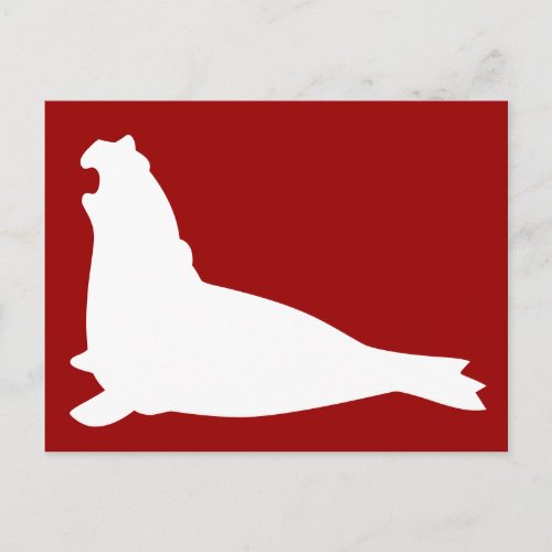 Elephant Seal Postcard White