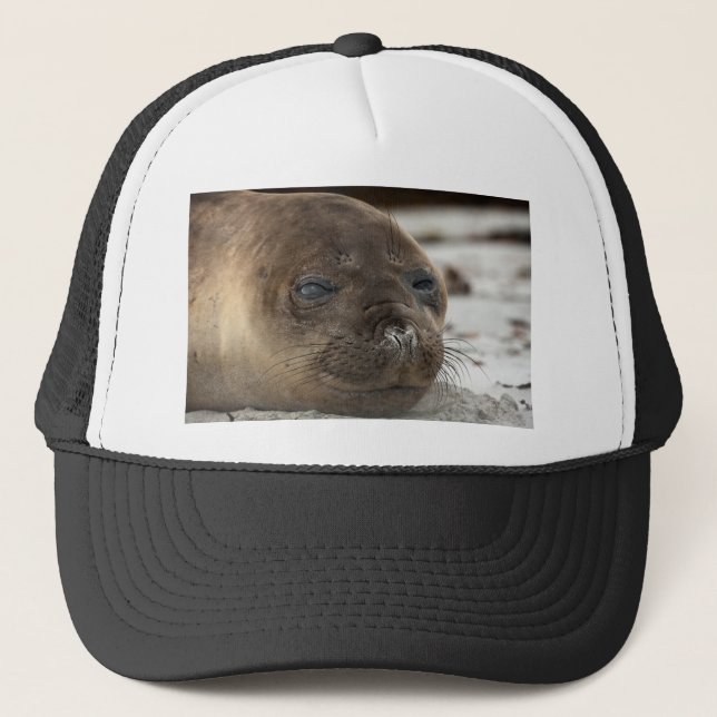 Elephant Seal pup Trucker Hat (Front)