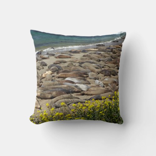 Elephant Seal Rookery Throw Pillow