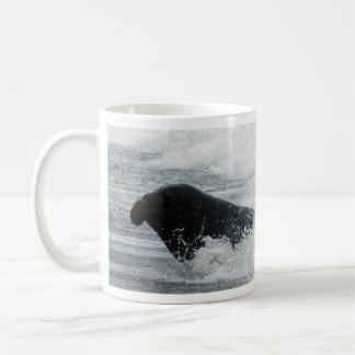 Elephant Seal Surfer Mug