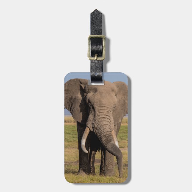 Elephant Searching Luggage Tag (Front Vertical)