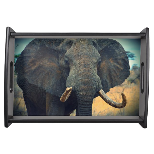 Elephant Serving Tray (Front)