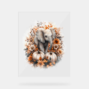 Elephant Shirt Country Pumpkin Acrylic Sign