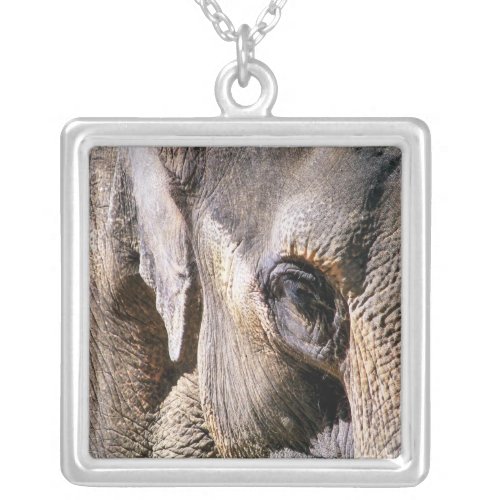 ELEPHANT SILVER PLATED NECKLACE