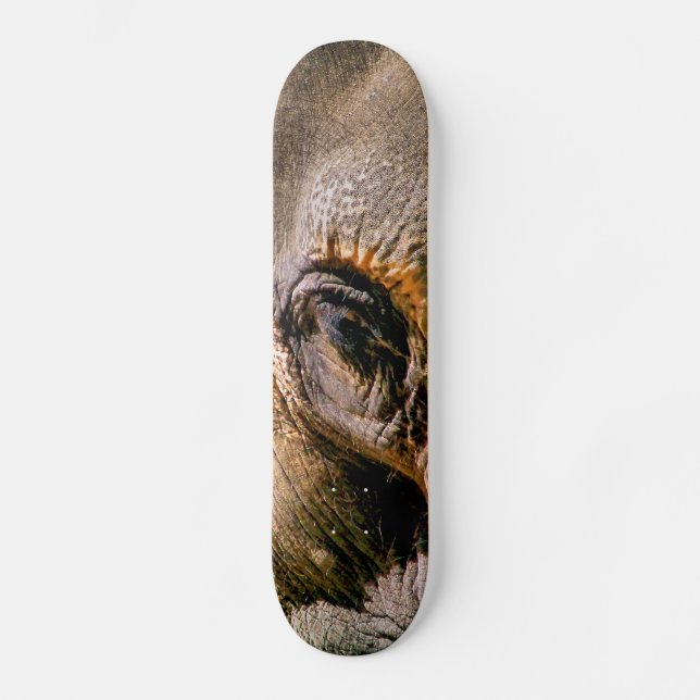 ELEPHANT SKATEBOARD DECK (Front)