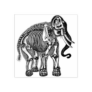 Elephant skeleton bones rubber stamp