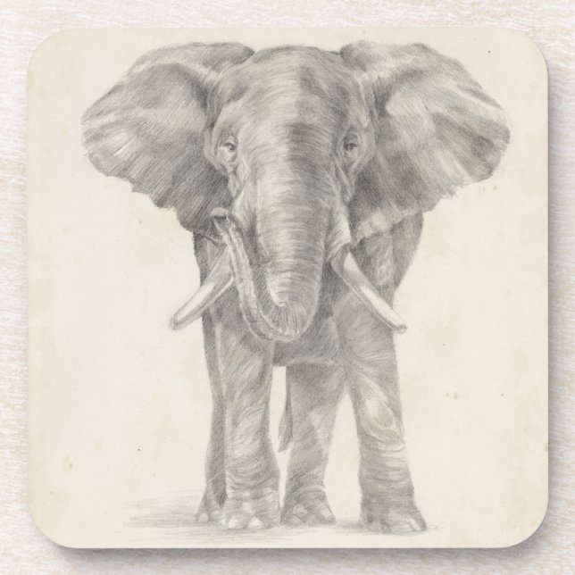 Elephant Sketch Beverage Coaster (Front)