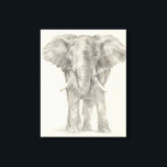 Elephant Sketch Canvas Print<br><div class="desc">This sketch features an African elephant | Ethan Harper. Image ID: 116578Z</div>