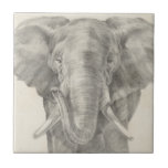 Elephant Sketch Ceramic Tile<br><div class="desc">This sketch features an African elephant | Ethan Harper. Image ID: 116578Z</div>
