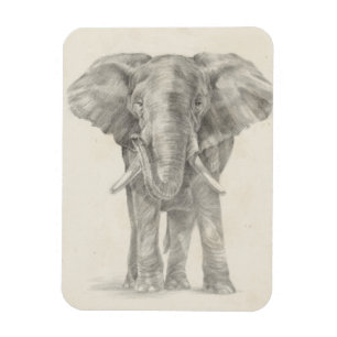 Elephant Sketch Magnet