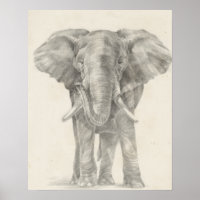 Elephant Sketch