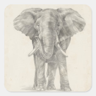 Elephant Sketch Square Sticker