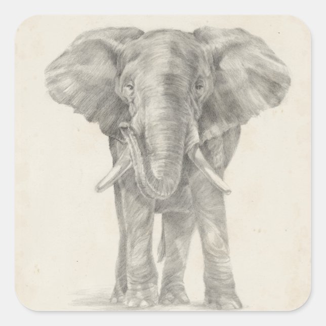 Elephant Sketch Square Sticker (Front)