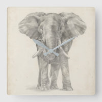 Elephant Sketch