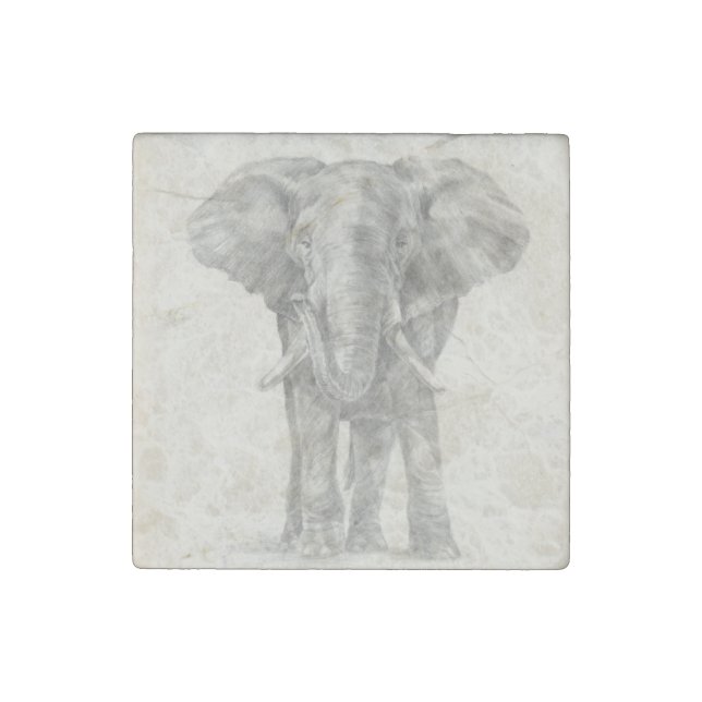 Elephant Sketch Stone Magnet (Front)