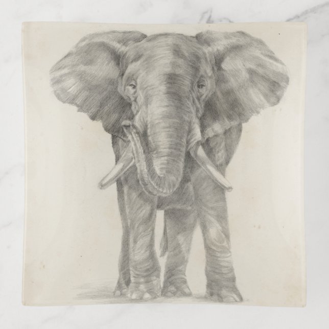 Elephant Sketch Trinket Tray (Front)